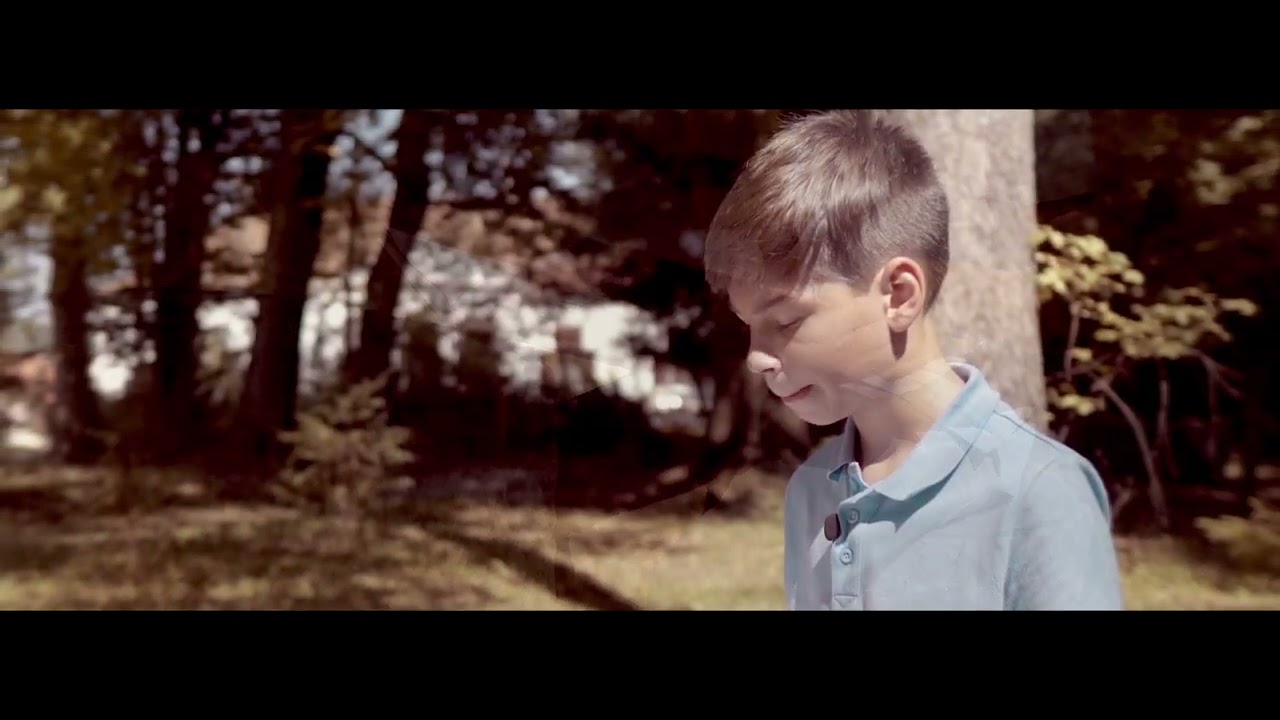 Benedek Elek: A nyárfa meg a fenyőfa