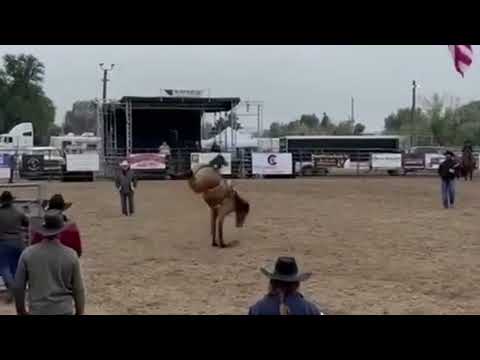 Lot 09 DLC L02 Scarred Leather