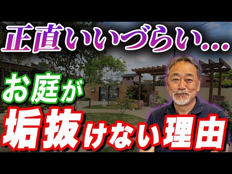 育てやすく進化し続けるイングリッシュガーデンアジサイ