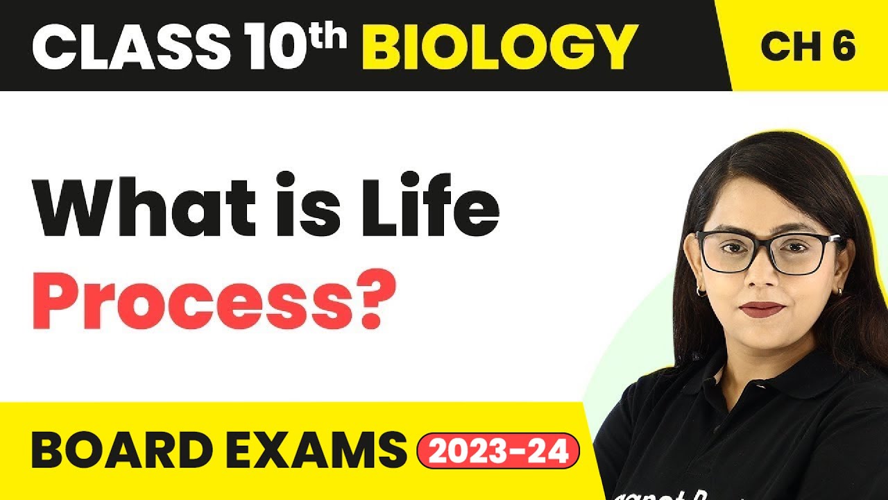 What is Life Process? | Class 10 Science Biology Chapter 6 | Class 10 Science