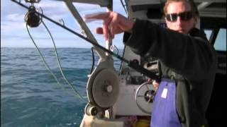 Kaikoura fishing tours: a video report