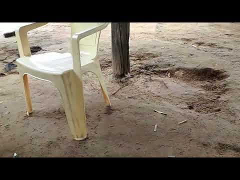 Banho da galera no campo agrícola. Dom Pedro Maranhão. E palma hoje no balneário Santa Rosa 18/01/26