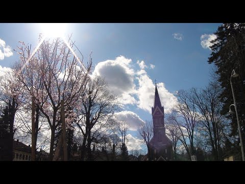 Crkva sv. Josipa 9.3.2023. u cvijetnom zagrljaju