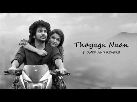 Thayaga Naan Dada movie song Slowed and Reverb lofi | HeLoFi