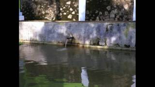 Download lagu COLENDRA@IIS SUGIANTO@JANGAN SAKITI HATINYA@iwan hadikusna mp3