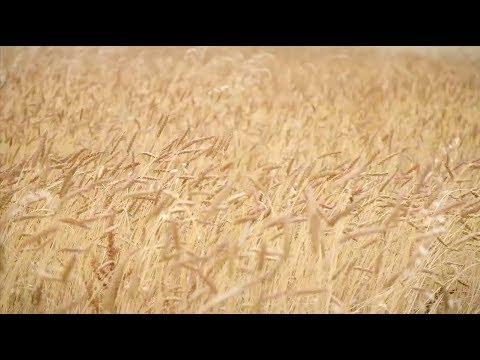 ON A 20 ANS POUR CHANGER LE MONDE - Bande Annonce VF