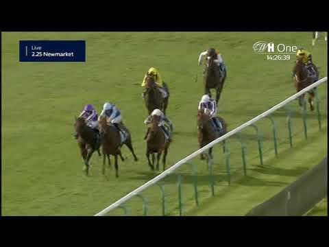 Autumn Stakes - Gruppe 3