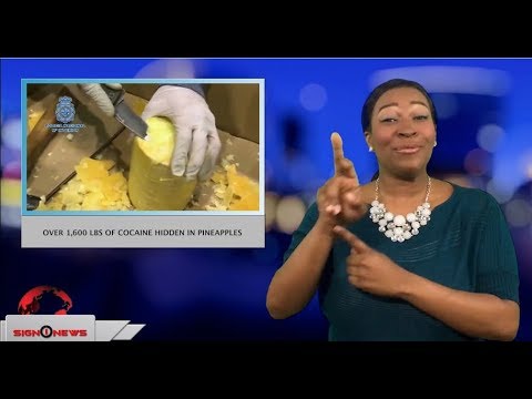 Over 1,600 LBS of cocaine hidden in pineapples (ASL - 1.19.18)