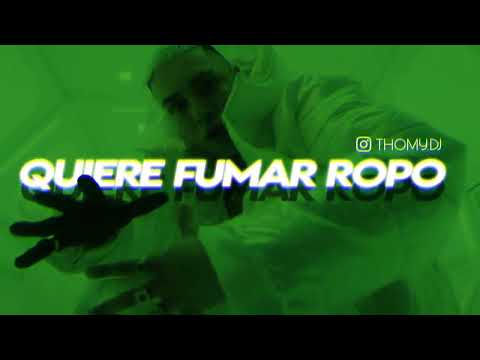 Thomy DJ - Quiere fumar rropo