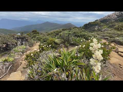 Thumbnail of the embedded YouTube video