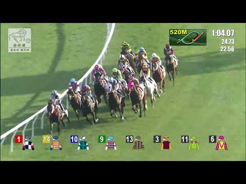 港經佬賽事重溫｜18-12-2021 田草日馬第七場賽事重溫 (267)｜翡翠綠 Ezra (C056)｜馬雅 R Maia｜苗禮德 A T Millard｜免費心水及賽馬貼士