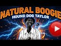 Hound Dog Taylor / Natural Boogie / Shake your money maker/ You can’t sit down/ Wild About you