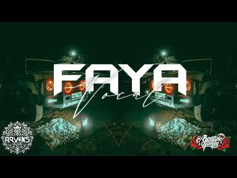 PITTBULL DR STEEVE & ARVENS [ Remix 2025 ] 