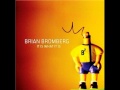 Brian Bromberg - Elephants on ice skates