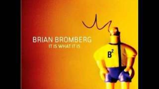 Brian Bromberg - Elephants on ice skates