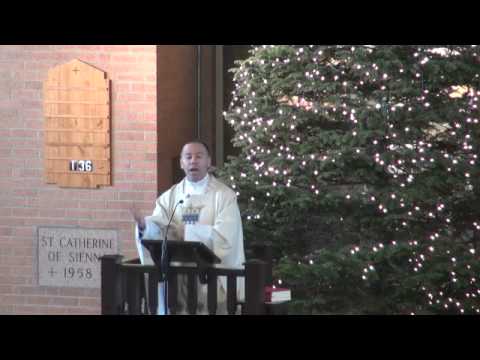 Homilia Domingo 01/01/2012