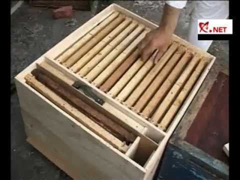 Noutati in apicultura Ioan Ursu a inventat un stup cu care se pot obtine produse apicole Bio