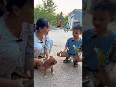 Đặt tên con chó là gì/kỳ kỳ tv & Family #shortvideo