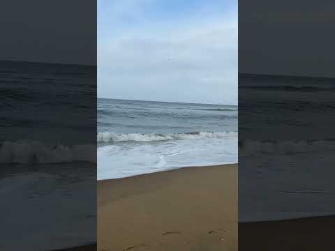 Beach vibes #beachlove #chennai