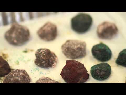 麻省理工学院巧克力科学实验室（MIT's Laboratory for Chocolate Science）