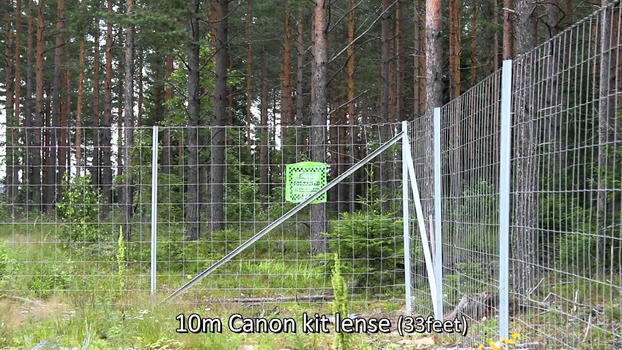 Объектив Samyang 500mm f/8 MC IF Mirror T-mount