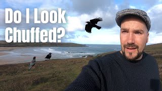 Hunting for the Rarest Crow in the UK