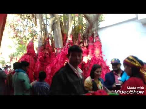 Meri Pooja Kar Sweekaar