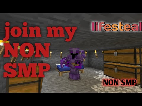 𝙉𝙊𝙉 𝙋𝙇𝘼𝙔𝙕 - join my lifesteal server NON SMP