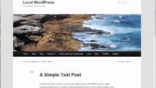 Writing Your First WordPress Plugin Part 3