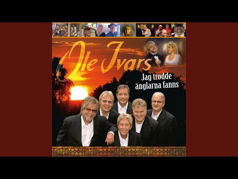 Kongen av campingplassen