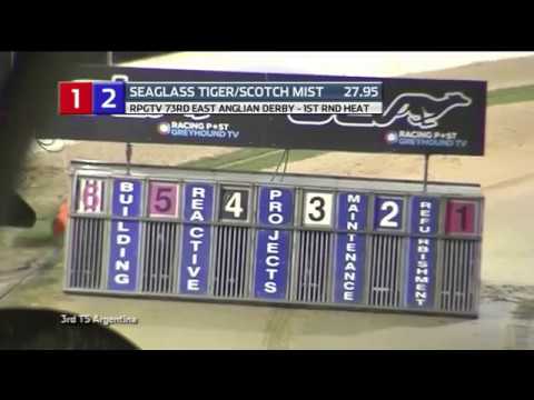 2019 EAST ANGLIAN DERBY - HEAT 8 - T1 SEA TIGER T2 SCOTCH MIST