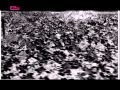 Motor - Black Powder
