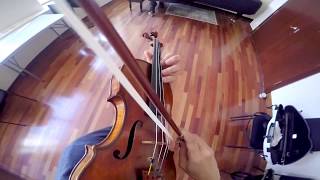 Sean Lee - Paganini POV: Caprice #17