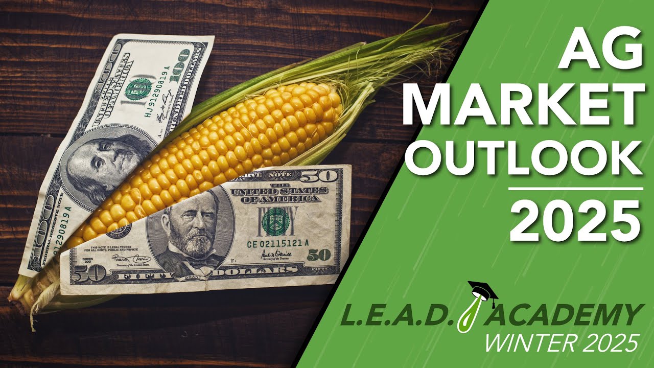 Grain and Fertilizer Markets Outlook 2025: Roundtable Talk