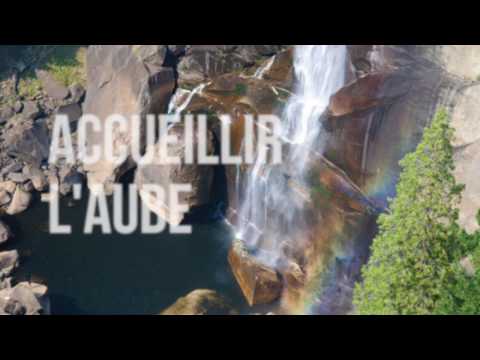 Méditation du matin - accueillir l'aube ⟡ Ginkgo