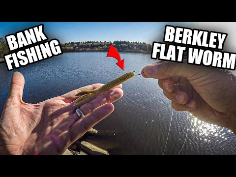Watch Bank Fishing  Berkley Flat Worm Saved Me! Video on