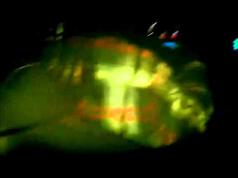 YUNG LYFE ENT - SLIDEN