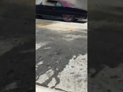 trick daddy donk on 🔥