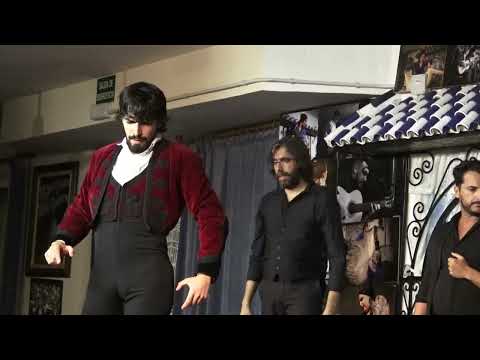 Seguiriya. Pablo Egea en Peña Torres Macarena de Sevilla