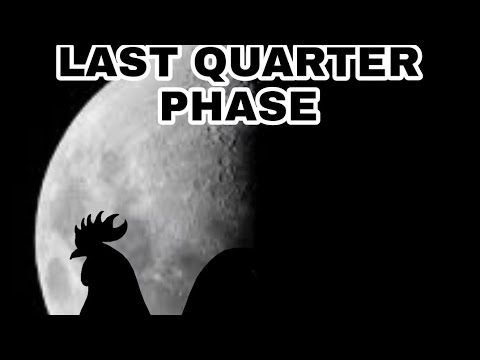 Lunar| Last Quarter Phase (Part 4 of 4)
