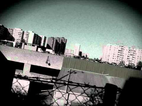 MpQ-ракушки на дне [demo]