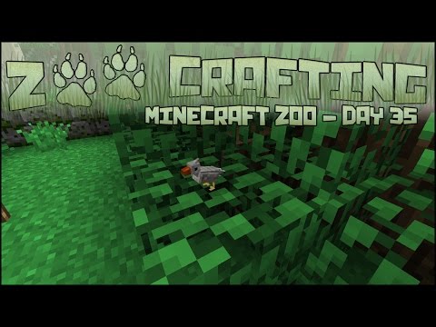 Tiny, Tiny Baby Confuciusornis!! 🐘 Zoo Crafting: Season 2 - Episode #35