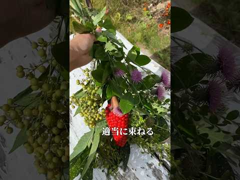 bac-a-fleurs-lobelia-lierre-grimpant-idees-deco