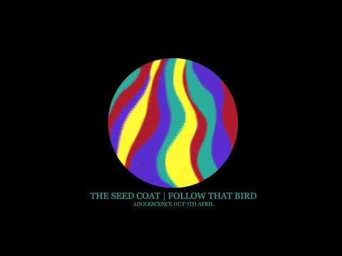 The Seed Coat - Follow That Bird