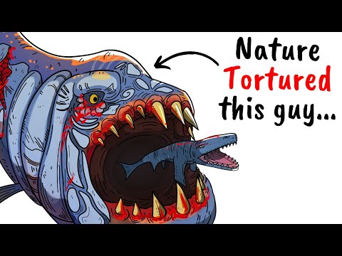 Why It Sucked To Be Born As a Xiphactinus (Bulldog Fish)