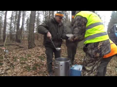 Driven hunt in Poland / Polowanie / Í skóginum 3