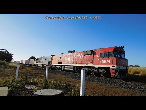 4PM6 - NR74-NR25 (PacNat) Wingeel - Australian Trains by Raysha1811