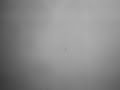 Sea Oleena *. If I'm 