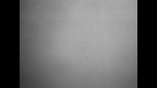 Sea Oleena *. If I'm