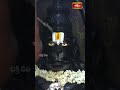 హనుమజ్జయంతి సందర్బంగా తిరుమలలో ఆంజనేయస్వామివారికి పంచామృతాభిషేకం      #hanumanjayanti #tirumala - Video